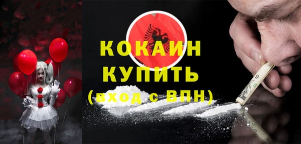 ПСИЛОЦИБИНОВЫЕ ГРИБЫ Яблоновский