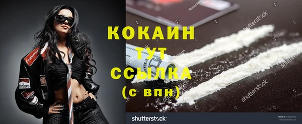 стаф Михайлов