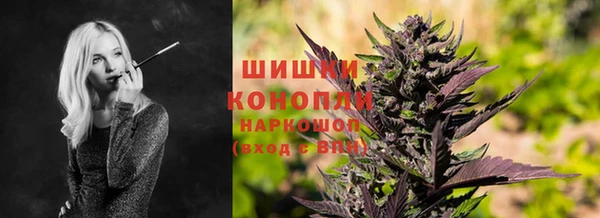 стаф Михайлов