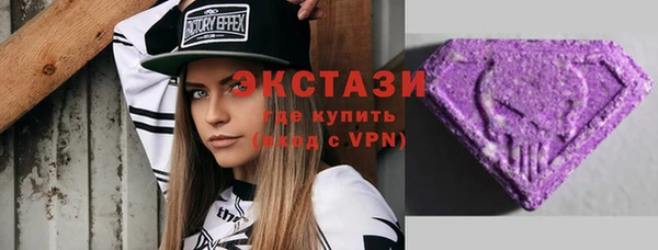 индика Михайловск