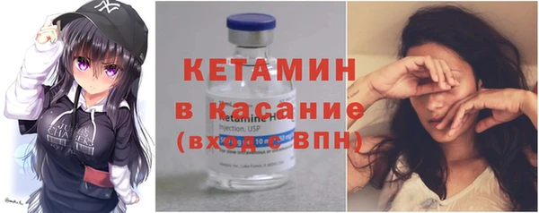 индика Михайловск