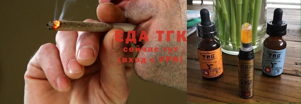 индика Михайловск