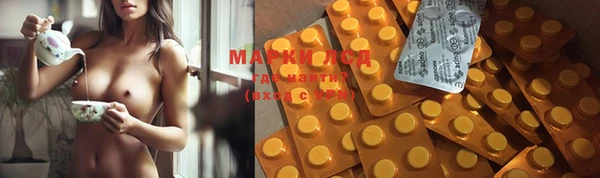индика Михайловск
