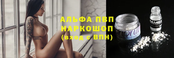 стаф Михайлов