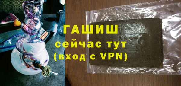 индика Михайловск