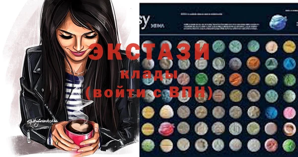 индика Михайловск
