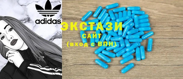 индика Михайловск