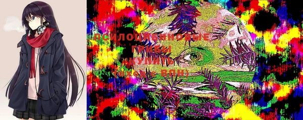 стаф Михайлов
