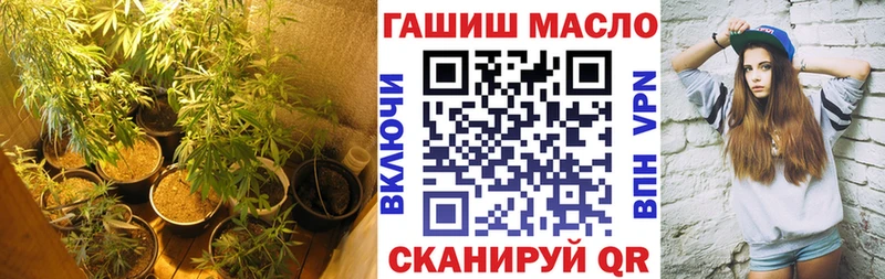 где продают   Мытищи  Дистиллят ТГК концентрат 
