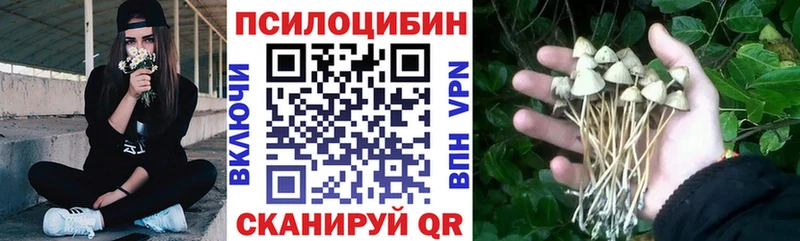 Галлюциногенные грибы Psilocybine cubensis  Мытищи 